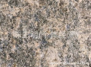 陈忠明